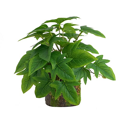 ZWTPGKRD Kletterer Bonsai Grün - Bonsai Lebensraum Dekor für Eidechsen Schlangen Terrarium klein künstlich für Badezimmer Dekor von ZWTPGKRD