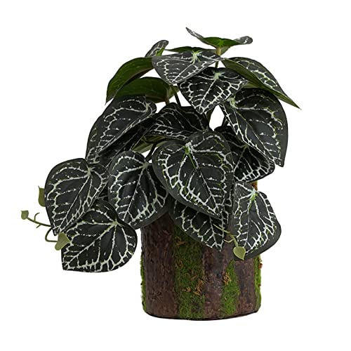 ZWTPGKRD Kletterer Bonsai Grün - Bonsai Lebensraum Dekor für Eidechsen Schlangen Terrarium klein künstlich für Badezimmer Dekor von ZWTPGKRD