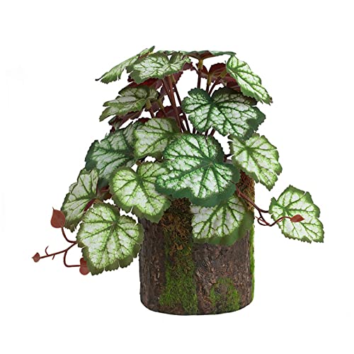 ZWTPGKRD Kletterer Bonsai Grün - Bonsai Lebensraum Dekor für Eidechsen Schlangen Terrarium klein künstlich für Badezimmer Dekor von ZWTPGKRD