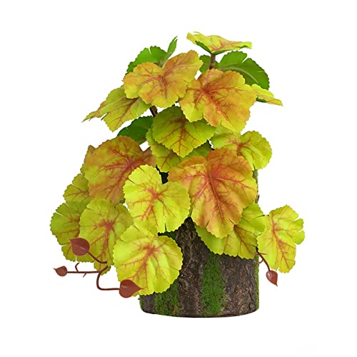 ZWTPGKRD Kletterer Bonsai Grün - Bonsai Lebensraum Dekor für Eidechsen Schlangen Terrarium klein künstlich für Badezimmer Dekor von ZWTPGKRD
