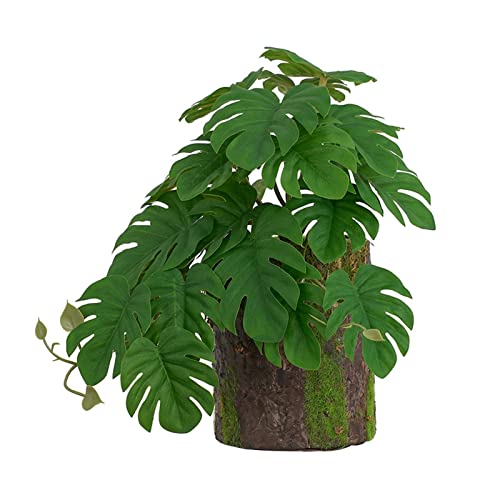 ZWTPGKRD Kletterer Bonsai Grün - Bonsai Lebensraum Dekor für Eidechsen Schlangen Terrarium klein künstlich für Badezimmer Dekor von ZWTPGKRD