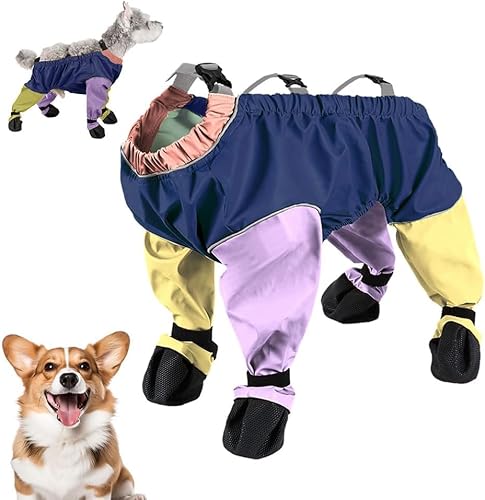 Hundestiefel-Leggings, wasserdicht, rutschfest, verstellbare Hosenträger für Hunde, Winter, Schnee, Regen, Spazierengehen, Haustierpfotenschutz, schmutzdicht, für Outdoor-Wanderungen Hundestiefel-Leggings, wasserdicht, rutschfest, verstellbare Hosenträger für Hunde, Winter, Schnee, Regen, Spazierengehen, Haustierpfotenschutz, schmutzdicht, für Outdoor-Wanderungen von ZXCVWWE