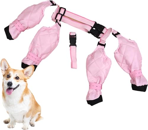 Hundestiefel-Leggings – Hundepfotenstiefel-Leggings, schützende Allwetter-Hundehose, verstellbare rutschfeste Hosenträgerstiefel, Hundestiefel für Winter, verschneite Tage im Freien, Spaziergänge für Hundestiefel-Leggings – Hundepfotenstiefel-Leggings, schützende Allwetter-Hundehose, verstellbare rutschfeste Hosenträgerstiefel, Hundestiefel für Winter, verschneite Tage im Freien, Spaziergänge für von ZXCVWWE
