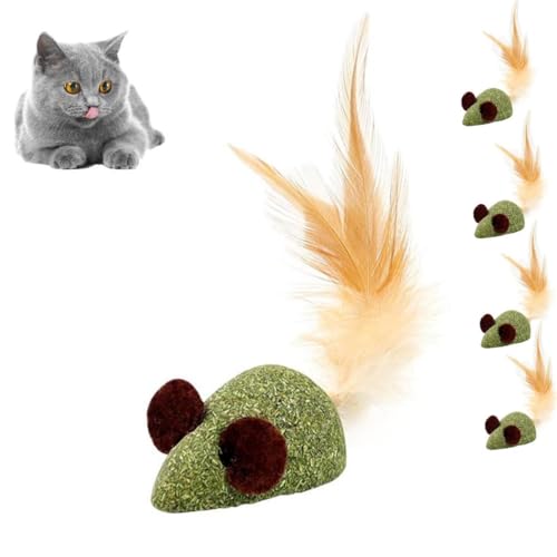 ZXCVWWE Katzenminze-Ballspielzeug für den Innenbereich, Zahnreinigungsspielzeug, Kätzchen, Kauspielzeug, interaktiver Ball, Katzenminze, Denta-Leckerlis, für den Innenbereich ZXCVWWE Katzenminze-Ballspielzeug für den Innenbereich, Zahnreinigungsspielzeug, Kätzchen, Kauspielzeug, interaktiver Ball, Katzenminze, Denta-Leckerlis, für den Innenbereich von ZXCVWWE