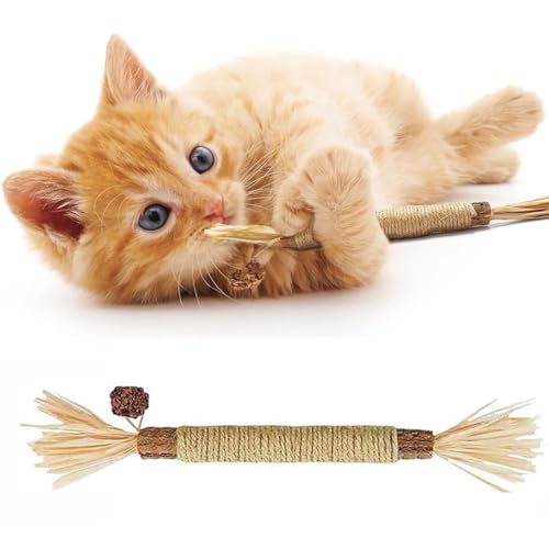 ZXCVWWE Nunapets Katzenkauspielzeug, 1/8 Stück, Nuna Pets Cat Chew Stick, Nunapets Natural Stick Cat Chew Toy, Nunapets Natural Silvervine Stick Cat Chew Toy, Silvervine Sticks for Cats Teeth Cleaning von ZXCVWWE