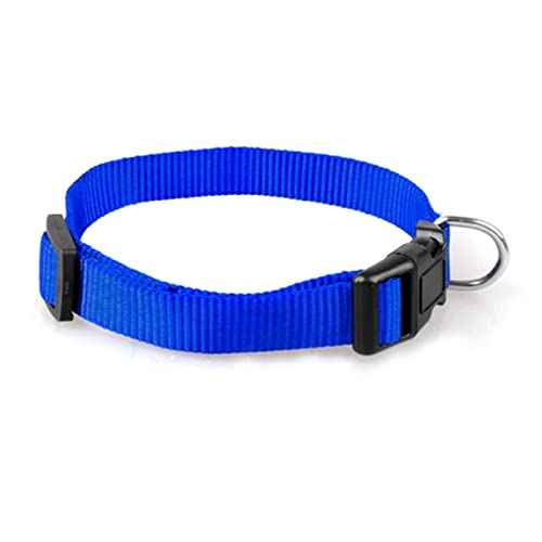 1 Pc Nylon Hundehalsband Kleine Hundehalsbänder Haustierhalsband Für Kleine Mittelgroße Hunde Katzen Pet-Blau,L von ZXDC