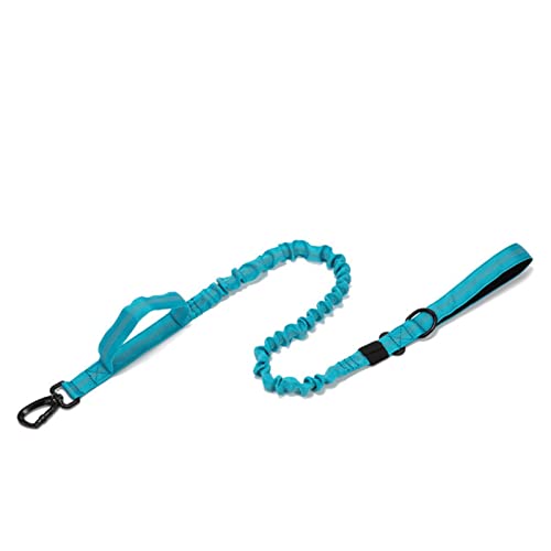1 Stück Haustier Hundehalsband Leine Set Nylon Material Langlebig Hundehalsband Reflektierende Leine Haustier Taktisches Training Hundehalsband-Blaue Leine,L (42-54CM) von ZXDC