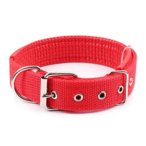 1 Stück Haustierhalsbänder, verstellbar, doppelschichtig, gepolstertes Halsband, Schaumstoff-Nackenband, weich, langlebig, für kleine, mittelgroße Hunde, Teddy-Rot, XXL 4,0 x 70 cm von ZXDC