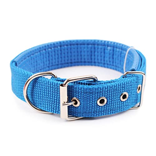 1 Stück Hundehalsband Einfaches Einfarbiges Hundehalsband Lederfutter Verstellbares Kleines Hundehalsband Bichon Labrador-Blau,M von ZXDC