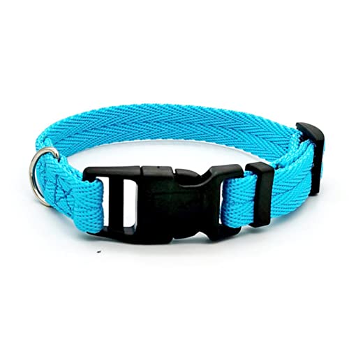 1 Stück Hundehalsband Einfarbige Welpenhalsbänder Mittelgroße Hunde Schnell Lösendes Hundetrainingshalsband Teddy Bichon-Halsband-Blaues Hundehalsband,L (28-40cm) von ZXDC