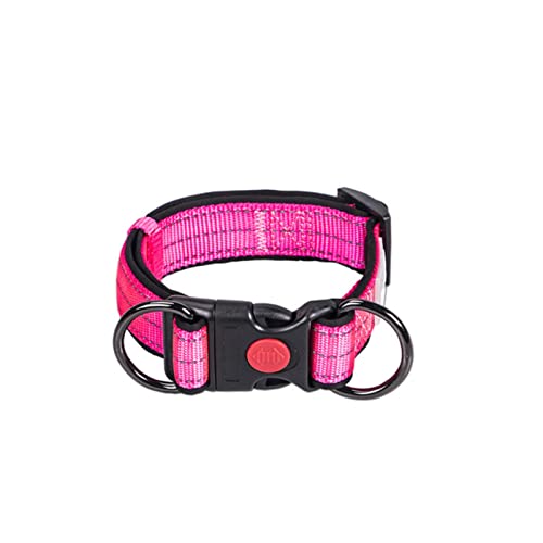 1 Stück Reflektierendes Hundehalsband und Leine, verstellbar, langlebig, hell, Leuchtend, Halskette, Doppel-D-Ring für kleine, große Hunde, rosafarbenes Halsband, M von ZXDC