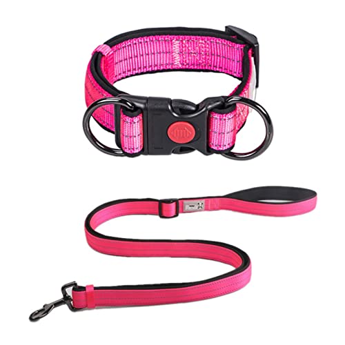1 Stück Reflektierendes Hundehalsband und Leine, verstellbar, langlebig, hell, Leuchtend, Halskette, Doppel-D-Ring für kleine, große Hunde, rosafarbenes Set,S von ZXDC