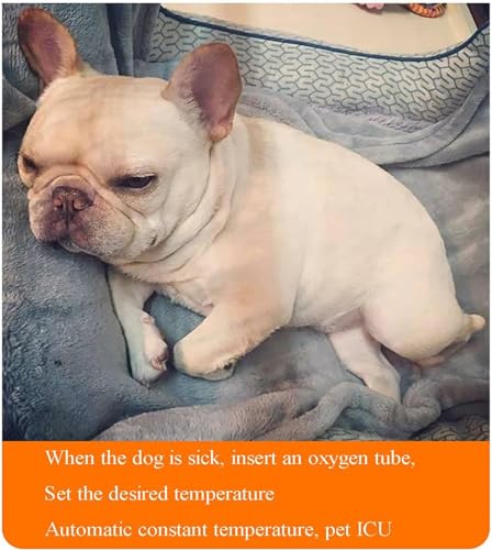 Welpen-Zuchtbox für Neugeborene Haustiere, Echtzeitanzeige von Temperatur und Luftfeuchtigkeit, bietet EIN sauberes, warmes und Komfortables Wohnumfeld für Haustiere,80X50X50cm von ZXSYYDS