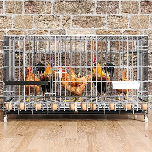 Hühnergehege für 8–16 Hühner, Hühnerstall, Auslaufkäfig mit Rädern und Eiersammler, Chicken Run für den Außenbereich im Hinterhof(150cm/59.0in) von ZXTRYBHD