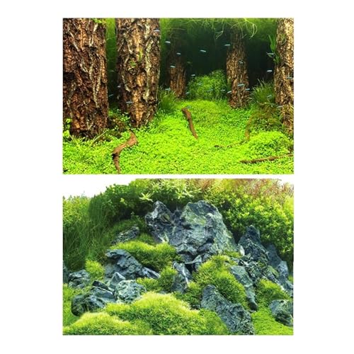 ZYAGH Aquarium Hintergrund Aquarium Dekoration Hintergrund Malerei Fisch Tank Landschaft Ozean Marine Pflanzen Fur Aquarium(Color10,50x80cm) von ZYAGH