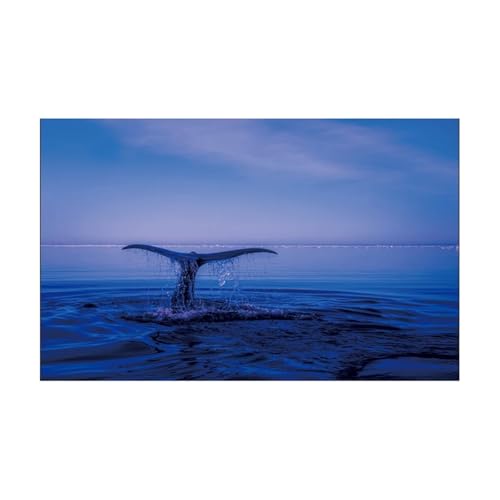 ZYAGH Aquarium Hintergrund Aquarium Hintergrund Aufkleber Delphin Poster Fisch Tank Dekoration Selbst Klebe Tapete Fur Aquarium(30x40cm) von ZYAGH