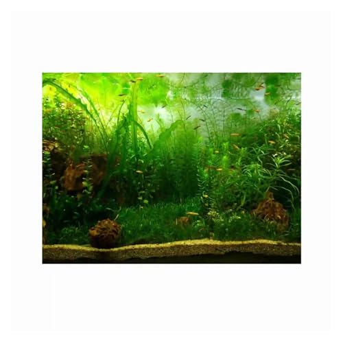 ZYAGH Aquarium Hintergrund Aquarium Hintergrund Papier Dekor Wasser Gras Stil Poster PVC Klebstoff Fur Aquarium(122x50cm) von ZYAGH