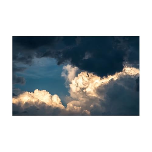 ZYAGH Aquarium Hintergrund Aquarium-Hintergrundaufkleber, Wolken-Aquarium-Hintergrunddekorationen, PVC-Aquarium-Zubehör Fur Aquarium(Color2,50x90cm) von ZYAGH
