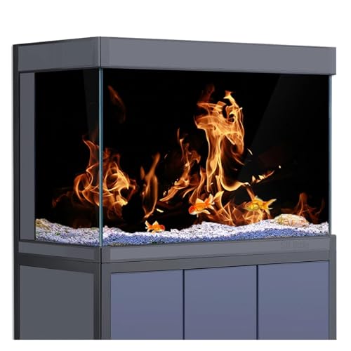 ZYAGH Aquarium Hintergrund Aquarium-Hintergrundaufkleber/Poster-Dekoration – for 5–60 Gallonen Fischtanks Reptilienhabitat Fur Aquarium(80x40cm) von ZYAGH