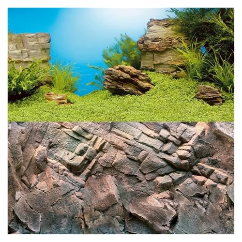 ZYAGH Aquarium Hintergrund Doppelseitiger Aquarium-Hintergrund Fur Aquarium(Color2,100X50CM) von ZYAGH