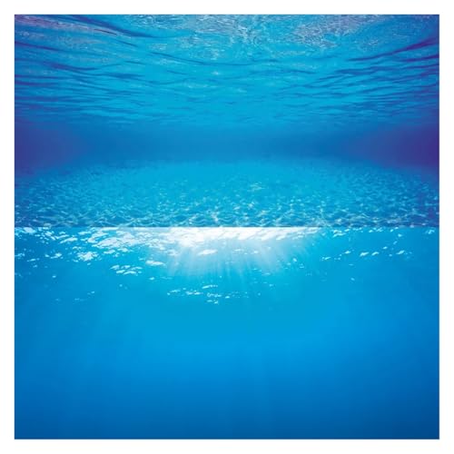 ZYAGH Aquarium Hintergrund Doppelseitiger Aquarium-Hintergrund Fur Aquarium(Color5,60X30CM) von ZYAGH