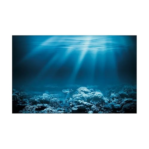 ZYAGH Aquarium Hintergrund Fisch Tank Hintergrund Aufkleber Unterwasser Landschaft Tapete Aquarium Dekorationen PVC Fur Aquarium(BLUE2,40x80cm) von ZYAGH