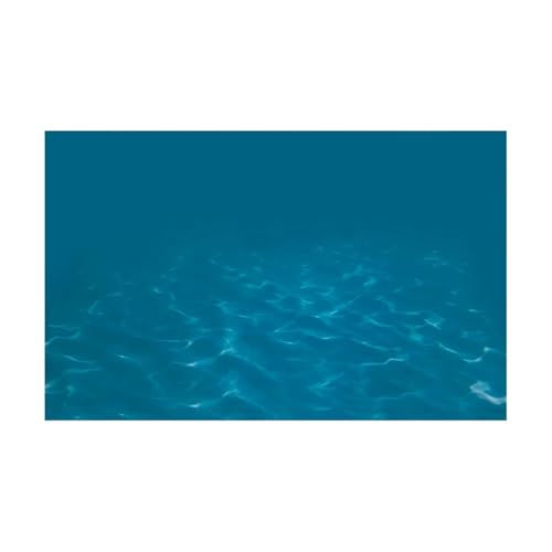 ZYAGH Aquarium Hintergrund Fisch Tank Hintergrund Aufkleber Unterwasser Landschaft Tapete Aquarium Dekorationen PVC Fur Aquarium(BLUE4,41x61cm) von ZYAGH