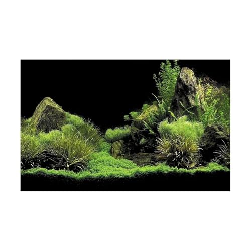 ZYAGH Aquarium Hintergrund Wald Aufkleber Aquarium Hintergrund Poster Dekoration Fisch Tank Wand Lanscaping Regenwald Terrarium Fur Aquarium(GREEN2,40x80cm) von ZYAGH