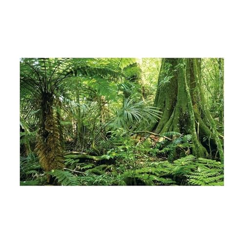 ZYAGH Aquarium Hintergrund Wald Aufkleber Aquarium Hintergrund Poster Dekoration Fisch Tank Wand Lanscaping Regenwald Terrarium Fur Aquarium(GREEN3,50x90cm) von ZYAGH