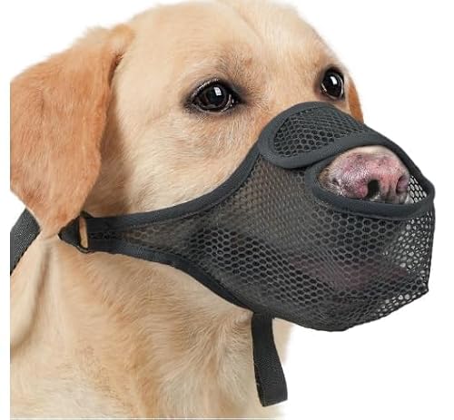 ZYEKIU Maulkorb Mittlere Hunde, Nylon Maulkorb Für Hunde, Maulkorb Kleine Hunde Netz, Maulkorb für Große Hunde Einstellbar, Maulkorb Hund Atmungsaktiv, für Kleine, Mittlere Hunde(M, Schwarz ZYEKIU Maulkorb Mittlere Hunde, Nylon Maulkorb Für Hunde, Maulkorb Kleine Hunde Netz, Maulkorb für Große Hunde Einstellbar, Maulkorb Hund Atmungsaktiv, für Kleine, Mittlere Hunde(M, Schwarz von ZYEKIU