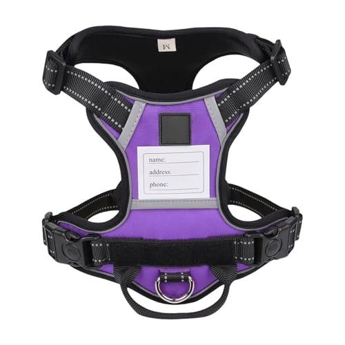 Verstellbare Trainingsweste für Hunde, Namensschild-Gürtel, bequeme Hundeweste, Geschirr für große Hunde, Namensschild-Training Verstellbare Trainingsweste für Hunde, Namensschild-Gürtel, bequeme Hundeweste, Geschirr für große Hunde, Namensschild-Training von ZYHARUKO
