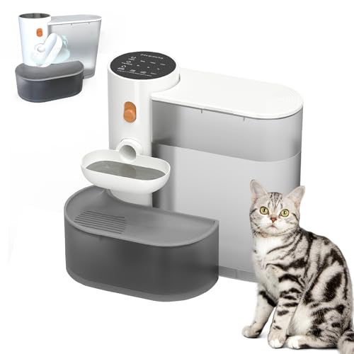 Katzenwasserbrunnen Katzenwasserbrunnen von ZYLARIOUS