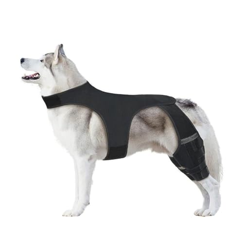 ZYMIADOU Flexible Beinschoner für Hunde, Kniebandage für Rücken, mit verstellbaren Riemen zur Vorbeugung von Gelenkverletzungen, Neopren, Hundewickel ZYMIADOU Flexible Beinschoner für Hunde, Kniebandage für Rücken, mit verstellbaren Riemen zur Vorbeugung von Gelenkverletzungen, Neopren, Hundewickel von ZYMIADOU