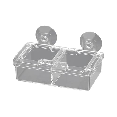 ZYMIADOU Schüssel Reptilien Fütterung Futter Wasser Schüssel Eidechsen Feeder Anti-Escape Hanging Supplies Zubehör Coloretto Schüssel Wasserschale ZYMIADOU Schüssel Reptilien Fütterung Futter Wasser Schüssel Eidechsen Feeder Anti-Escape Hanging Supplies Zubehör Coloretto Schüssel Wasserschale von ZYMIADOU