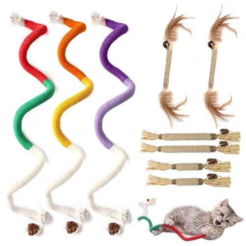 ZYNERY 9 STK Katzenminze Spielzeug, 3 Katzen Beißseil und 6 Katzenminze Sticks, Kauspielzeug Katze Interaktives Beißseil, Katzenminze Stick Spielzeug, Katzenspielzeug für Katzen Zahnpflege ZYNERY 9 STK Katzenminze Spielzeug, 3 Katzen Beißseil und 6 Katzenminze Sticks, Kauspielzeug Katze Interaktives Beißseil, Katzenminze Stick Spielzeug, Katzenspielzeug für Katzen Zahnpflege von ZYNERY
