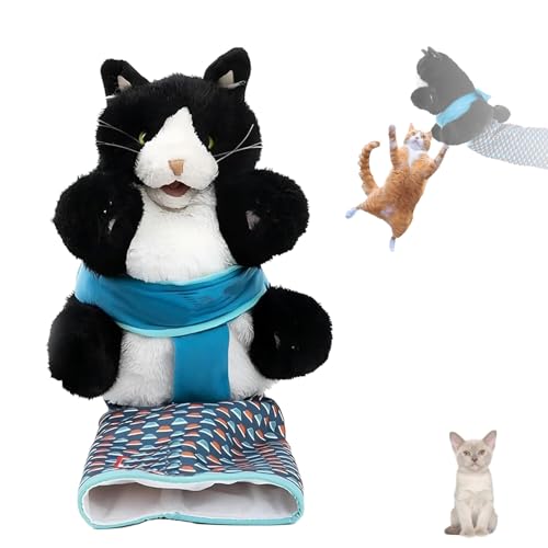 ZYNGYB Katzen Handpuppe, Katze Puppe Spielzeug, Ringen Handschuhe StabilitäTsmatte, Safe Play PlüSchtiere, Katze Puppe Wrestler,Katzenspielzeug ZYNGYB Katzen Handpuppe, Katze Puppe Spielzeug, Ringen Handschuhe StabilitäTsmatte, Safe Play PlüSchtiere, Katze Puppe Wrestler,Katzenspielzeug von ZYNGYB