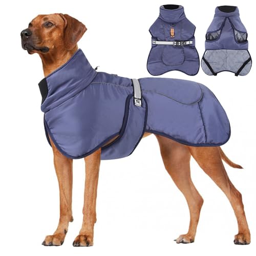 ZYTECO Dicker Warmer Wintermantel Für Hunde Reflektierend Leicht Winddicht Schneeanzug Hoher Kragen Verstellbare Schnalle Hunde-Baumwollmantel,Navy Blue,XL ZYTECO Dicker Warmer Wintermantel Für Hunde Reflektierend Leicht Winddicht Schneeanzug Hoher Kragen Verstellbare Schnalle Hunde-Baumwollmantel,Navy Blue,XL von ZYTECO