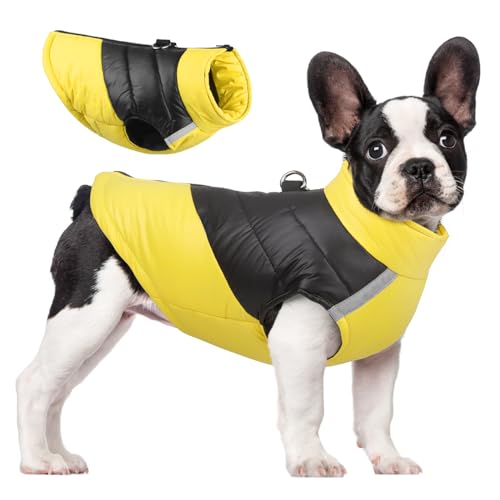 ZYTECO Hunde-Wintermäntel Dick Leicht Winddicht Reißverschluss Hunde-Baumwollmantel Warm Reflektierend Wasserdicht Schneeanzugweste,Gelb,XXL ZYTECO Hunde-Wintermäntel Dick Leicht Winddicht Reißverschluss Hunde-Baumwollmantel Warm Reflektierend Wasserdicht Schneeanzugweste,Gelb,XXL von ZYTECO