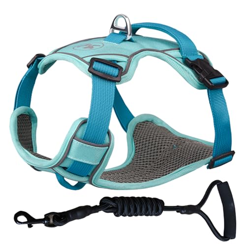 ZYTECO Hundegeschirr Leine Anzug Anti-Burst-Aufprall Verstellbar Reflektierend Wasserdicht Atmungsaktiv Geschirr Mit Leine,Blau,L von ZYTECO