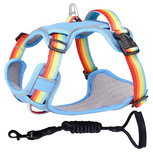 ZYTECO Hundegeschirr Leine Anzug Anti-Burst-Aufprall Verstellbar Reflektierend Wasserdicht Atmungsaktiv Geschirr Mit Leine,Rainbow Blue,M von ZYTECO