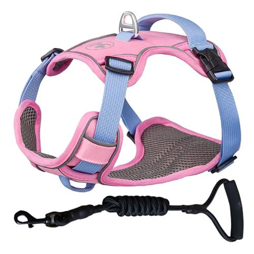 ZYTECO Hundegeschirr Leine Anzug Anti-Burst-Aufprall Verstellbar Reflektierend Wasserdicht Atmungsaktiv Geschirr Mit Leine,Rosa,S von ZYTECO