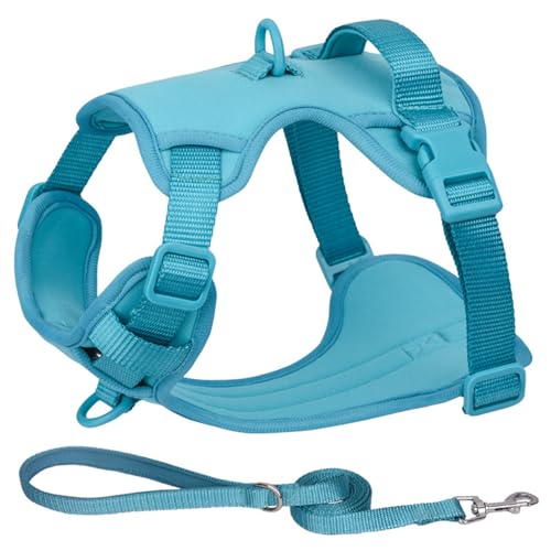 ZYTECO Hundegeschirr Mit Leine Verstellbar Reflektierend Atmungsaktiv Wasserdicht Stoßfest Für Mittelgroße Und Große Hunde,Blau,L von ZYTECO