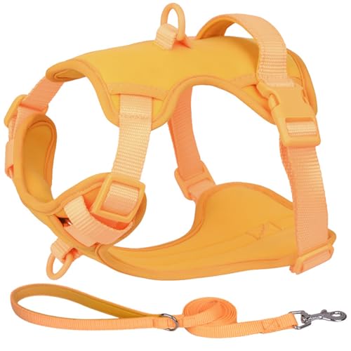 ZYTECO Hundegeschirr Mit Leine Verstellbar Reflektierend Atmungsaktiv Wasserdicht Stoßfest Für Mittelgroße Und Große Hunde,Gelb,L von ZYTECO