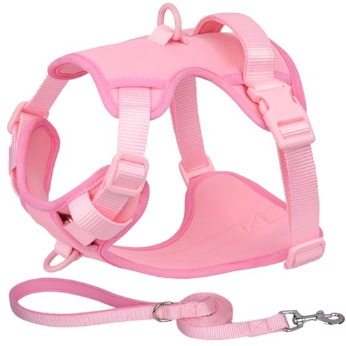 ZYTECO Hundegeschirr Mit Leine Verstellbar Reflektierend Atmungsaktiv Wasserdicht Stoßfest Für Mittelgroße Und Große Hunde,Rosa,XS von ZYTECO