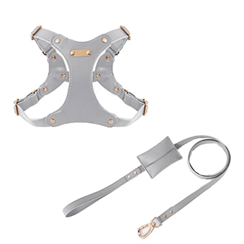 ZYTECO Hundehalsband Aus Weichem Leder Leinenanzug Verdickte Metallschnalle Verstellbare wasserdichte Geschirre,Grau,S ZYTECO Hundehalsband Aus Weichem Leder Leinenanzug Verdickte Metallschnalle Verstellbare wasserdichte Geschirre,Grau,S von ZYTECO