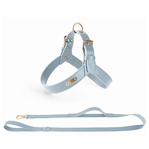 ZYTECO Hundehalsband-Leinen-Anzug Aus Leder Verstellbare Geschirre wasserdichte Halsbänder Und Leinen Für Kleine Mittelgroße Und Große Hunde,Blau,L von ZYTECO