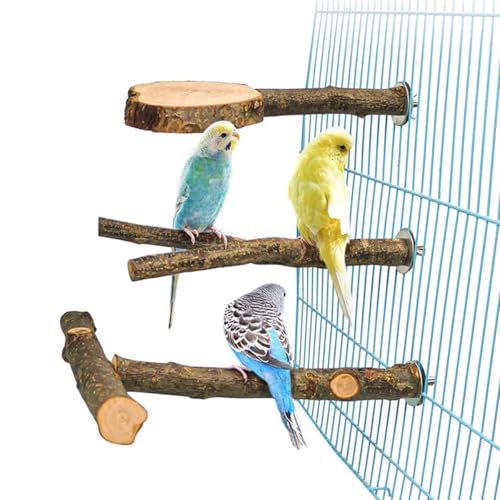 ZYYRSS 3 Stück Naturholz Vogelsitzstange, Holz Papagei Sitzstange Ständer Vogelkäfig Zweige Plattform Zubehör für Sittiche, Nymphensittiche, Sittiche, Sittiche, Aras, Finken, Liebesvögel von ZYYRSS