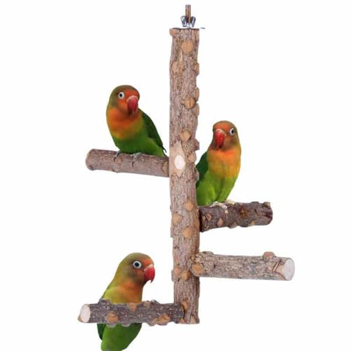 ZYYRSS Barsch-Vogelständer aus natürlichem Holz, Papageienkäfig, Holzzweige, stehendes Spielzeug für kleine, mittelgroße Papageien, Wellensittiche, Lovebirds von ZYYRSS