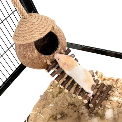 ZYYRSS Kokosnuss Vogelnest mit Leiter, Natürliche Reptilienversteck Vogel Kokosnussschale Kokosnussversteck für Reptilien, Vogel, Kleintier ZYYRSS Kokosnuss Vogelnest mit Leiter, Natürliche Reptilienversteck Vogel Kokosnussschale Kokosnussversteck für Reptilien, Vogel, Kleintier von ZYYRSS