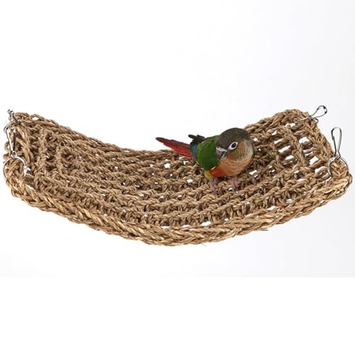ZYYRSS Vogel-Matte aus Seegras, gewebt, für Sittiche, Sittiche, Cuttlebone, Kauspielzeug, Zubehör, Nymphensittiche, Kletterseilleiter für Lovebird, Wellensittich, Kakadu, 40 x 19 cm ZYYRSS Vogel-Matte aus Seegras, gewebt, für Sittiche, Sittiche, Cuttlebone, Kauspielzeug, Zubehör, Nymphensittiche, Kletterseilleiter für Lovebird, Wellensittich, Kakadu, 40 x 19 cm von ZYYRSS